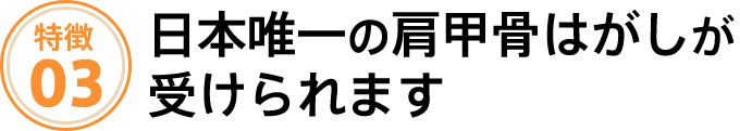 日本唯一の肩甲骨はがしが受けられます